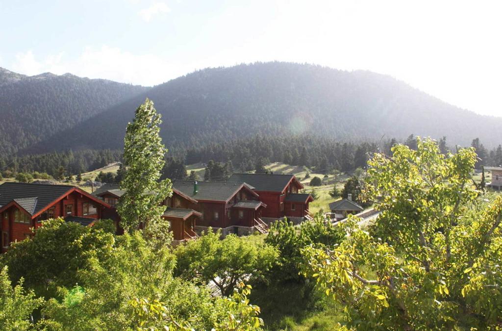 Boutique Hotel Skamnos Arachova Bagian luar foto