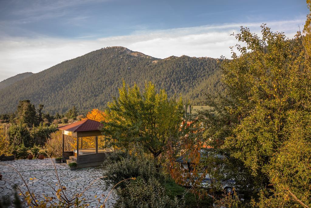 Boutique Hotel Skamnos Arachova Bagian luar foto